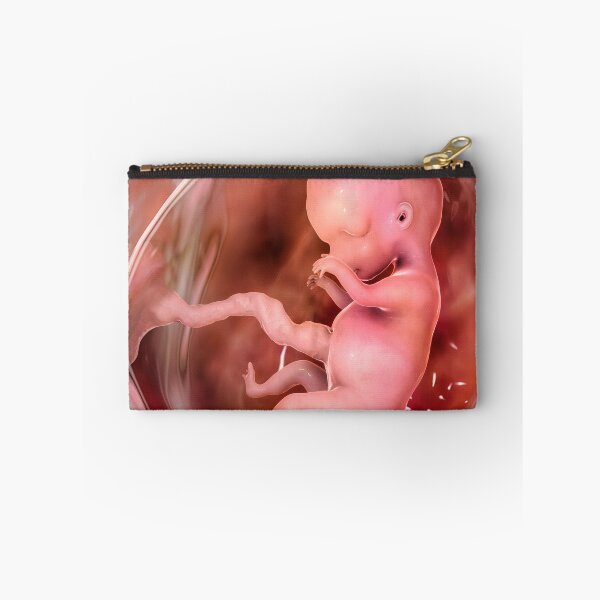 Item preview, Human fetus designed and sold by Kateryna Kon.