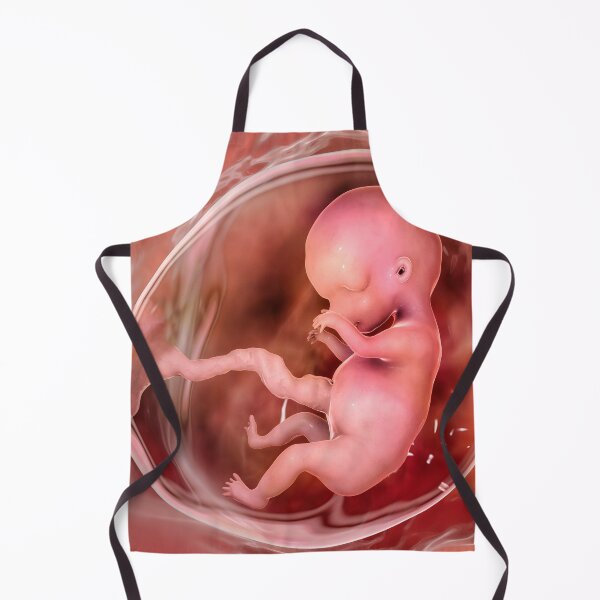 Item preview, Human fetus designed and sold by Kateryna Kon.