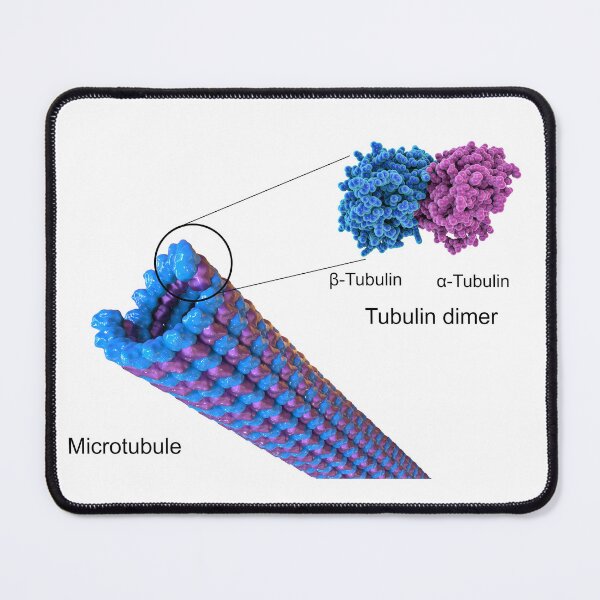 Item preview, Structure of a microtubule designed and sold by Kateryna Kon.