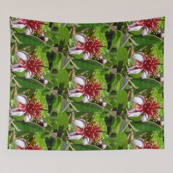 Item preview, Feijoa Flower designed and sold by lezvee.