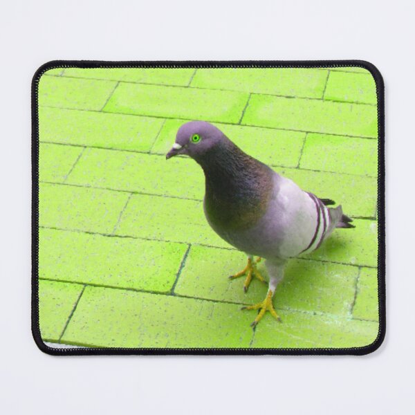 Item preview, pigeon in neon green designed and sold by AspieConjures.