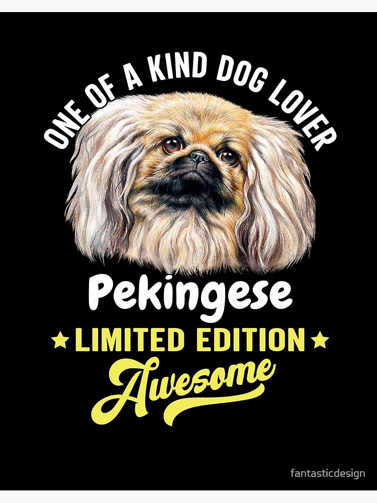 ペキニーズ書籍4冊セット 本 洋書 写真 pekingese PEKINGESE