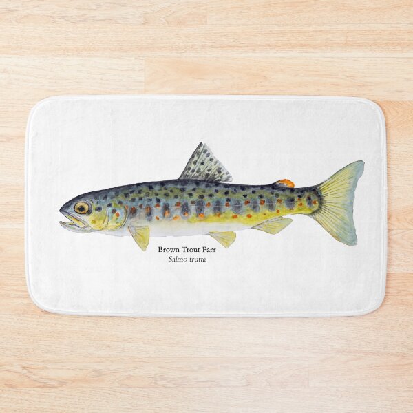Item preview, Brown Trout Parr Painting designed and sold by Stephen Emms.