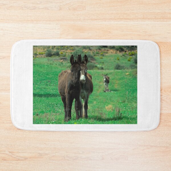 Item preview, Donkeys on Springtime designed and sold by AngeloDeVal.