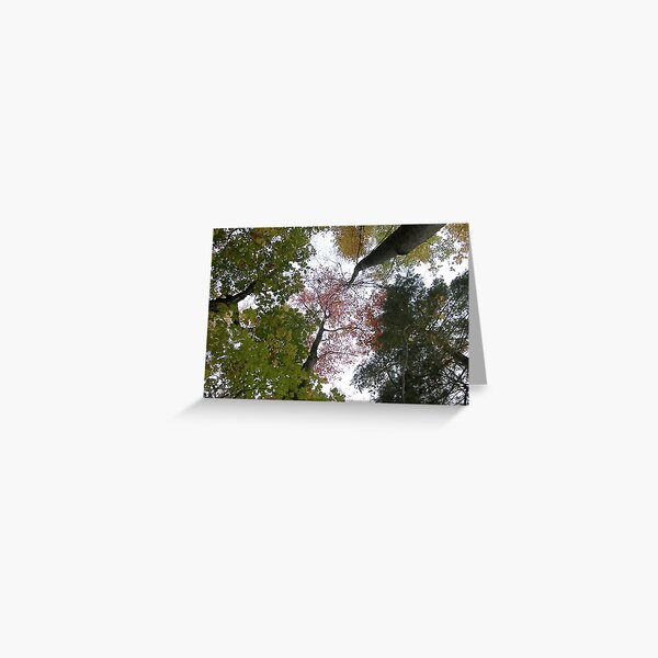 Nature's Art Greeting Card