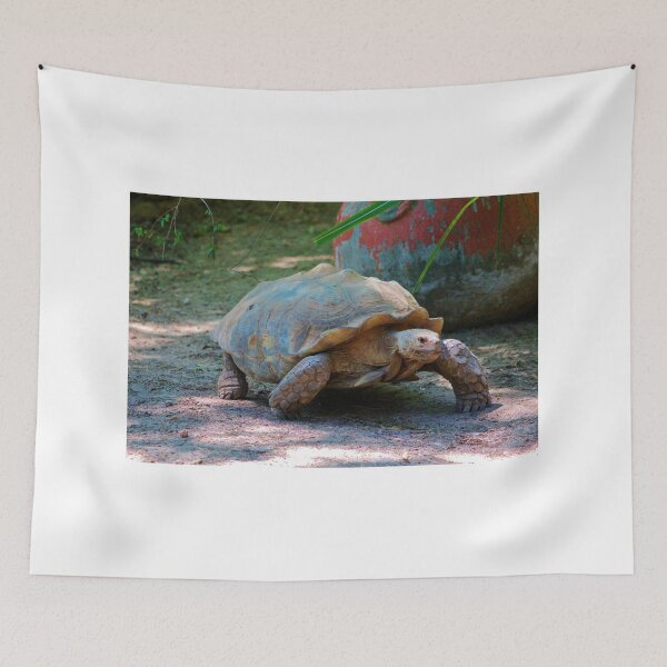 Item preview, Giant Tortoise designed and sold by Cynthia48.