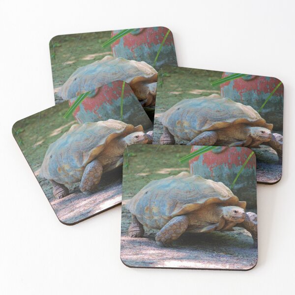 Item preview, Giant Tortoise designed and sold by Cynthia48.