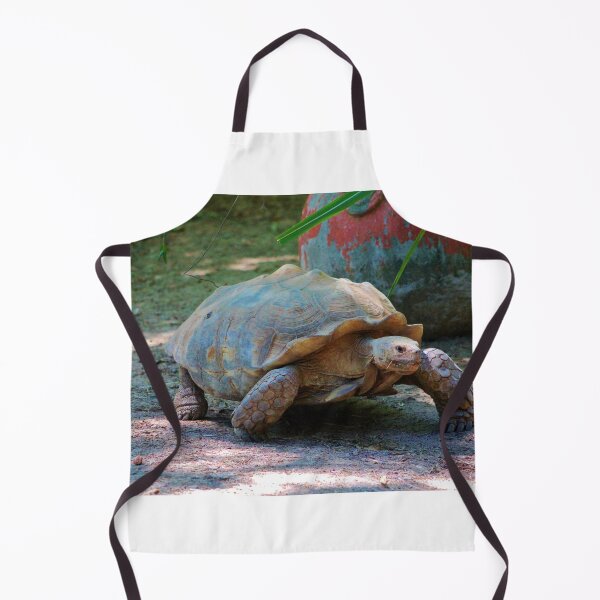 Item preview, Giant Tortoise designed and sold by Cynthia48.