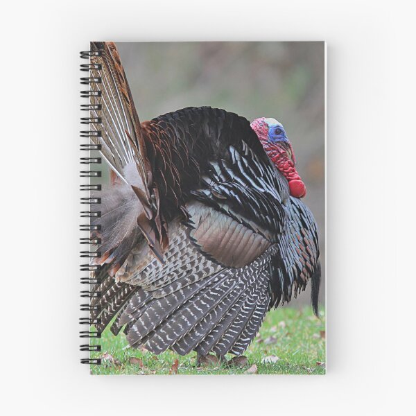 Item preview, Tom Turkey struts his stuff designed and sold by Linda Crockett.
