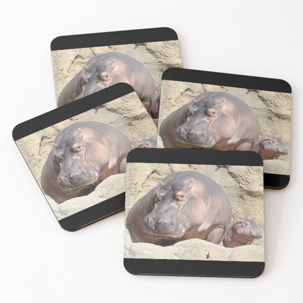 Item preview, Hippos Bibi and Fritz at the Cincinnati Zoo designed and sold by Zoo and Nature Photography by Karie.