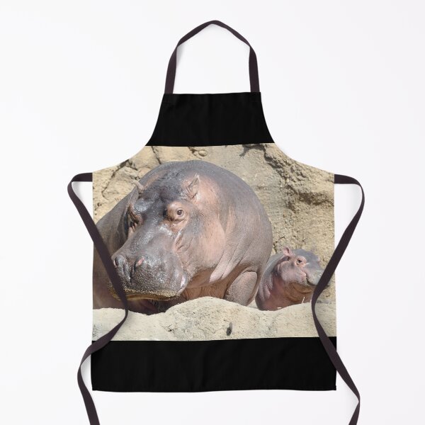 Item preview, Hippos Bibi and Fritz at the Cincinnati Zoo designed and sold by Zoo and Nature Photography by Karie.