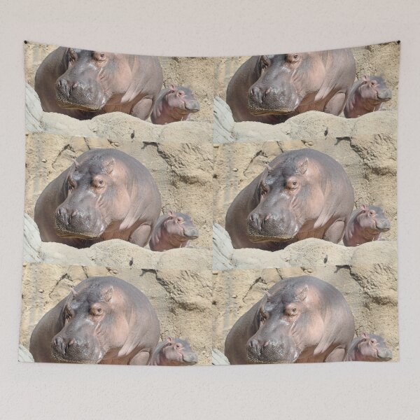 Item preview, Hippos Bibi and Fritz at the Cincinnati Zoo designed and sold by Zoo and Nature Photography by Karie.