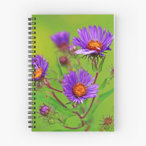 Item preview, Wild Asters In Purple designed and sold by Deb Oppermann.