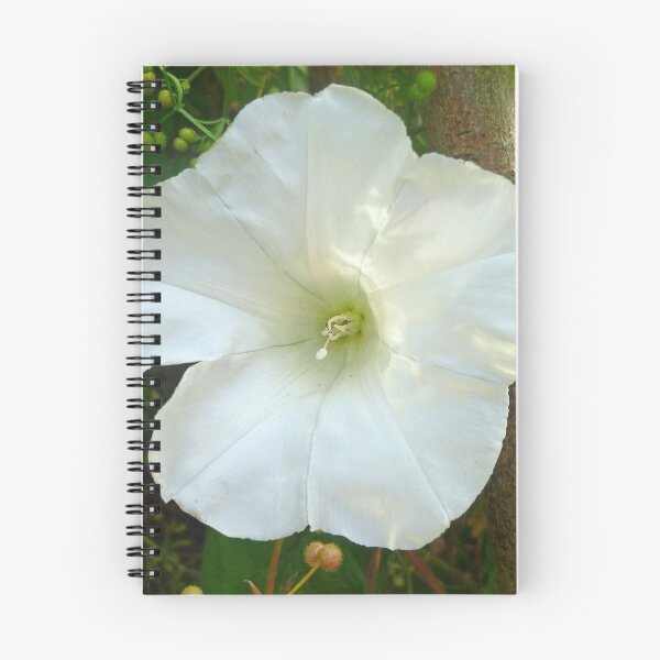 Item preview, Flower designed and sold by Hannah Lowe.