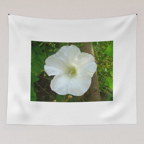 Item preview, Flower designed and sold by Hannah Lowe.