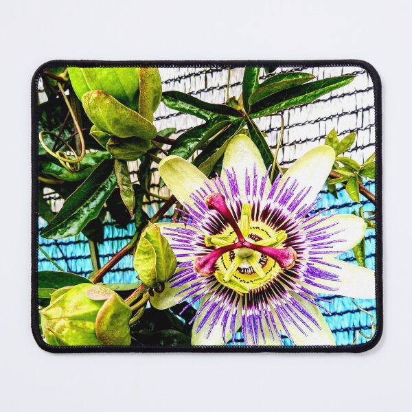 Item preview, Passiflora  designed and sold by Infinito2008.