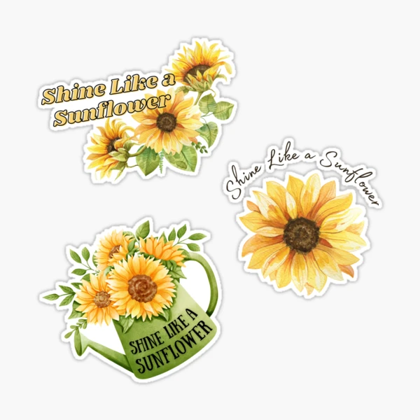 st,large,507x507-pad,600x600,