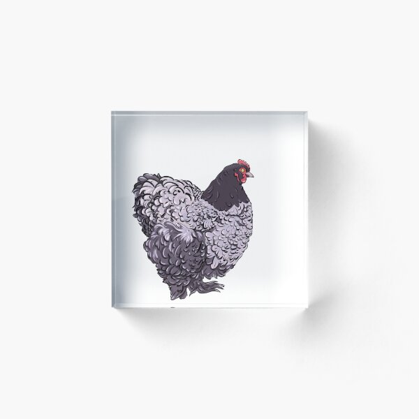 Chibi Blue Cochin Hen Acrylic Block