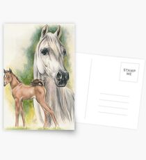 Arabian Postcards