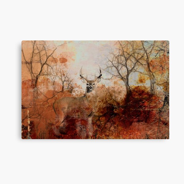 Grungy Mule Deer Buck Canvas Print
