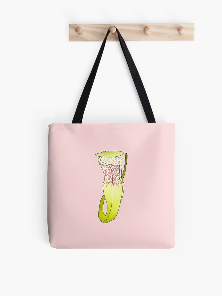 Nepenthes Alba Carnivorous Pitcher Plant on Pink