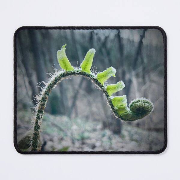 Item preview, Fern series designed and sold by lpollaro.