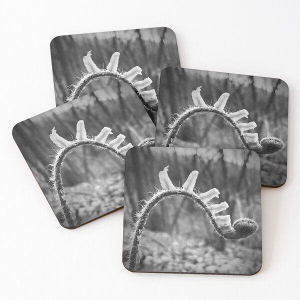 Item preview, Fern series designed and sold by lpollaro.