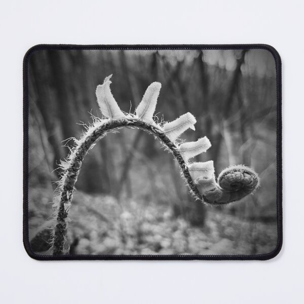 Item preview, Fern series designed and sold by lpollaro.