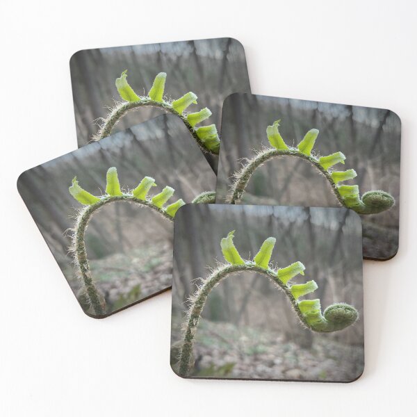 Item preview, Fern series designed and sold by lpollaro.