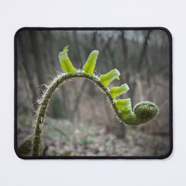 Item preview, Fern series designed and sold by lpollaro.