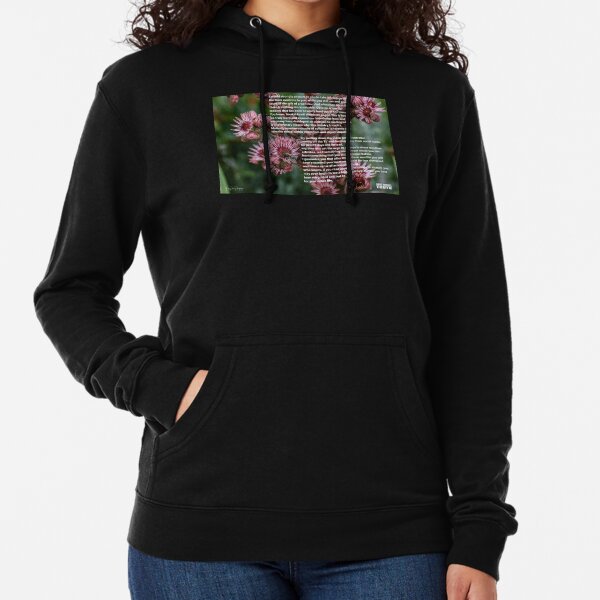 I Would Strongly Encourage You Lightweight Hoodie
