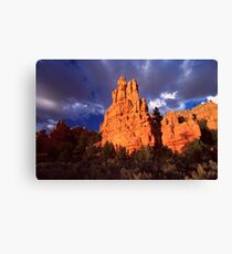 Red Canyon Canvas Print
