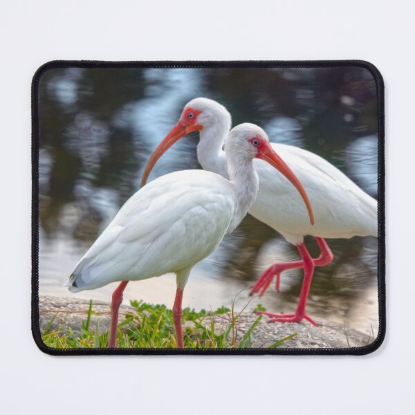 Item preview, Ibis Dance designed and sold by utakloss.
