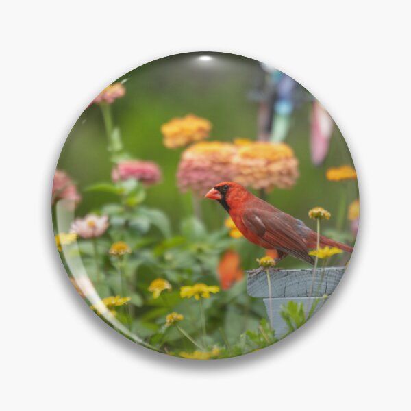Item preview, Red Cardinal  designed and sold by utakloss.