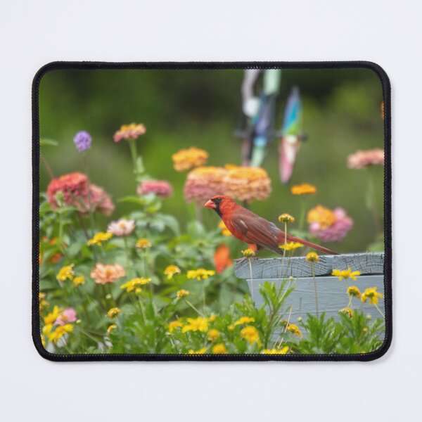 Item preview, Red Cardinal designed and sold by utakloss.