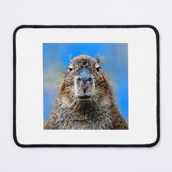 Item preview, Capybara X Congo Kashmir designed and sold by Cannabanimals.