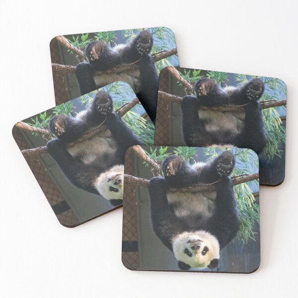 Item preview, Goofball Giant Panda Xiao Qi Ji at the National Zoo designed and sold by Zoo and Nature Photography by Karie.