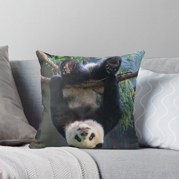 Item preview, Goofball Giant Panda Xiao Qi Ji at the National Zoo designed and sold by Zoo and Nature Photography by Karie.