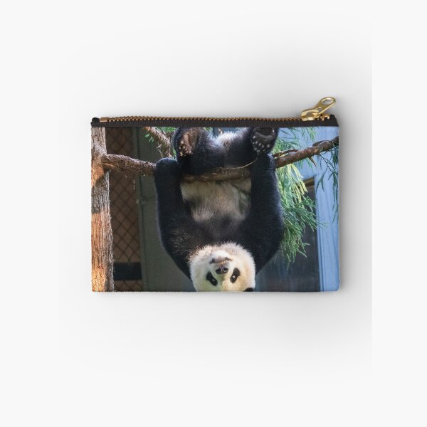Item preview, Goofball Giant Panda Xiao Qi Ji at the National Zoo designed and sold by Zoo and Nature Photography by Karie.