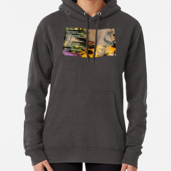 So Here We Are Pullover Hoodie