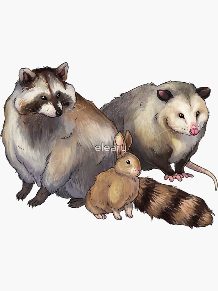 Possum and Raccoon Stickers Trashy Creatures Matte Weatherproof Vinyl  Stickers 3 Inches 