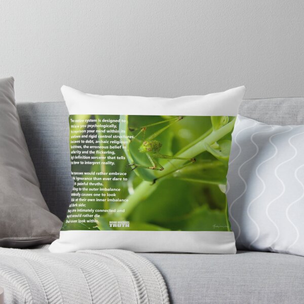 Item preview, The Entire System designed and sold by Yardley Pearson Photography.