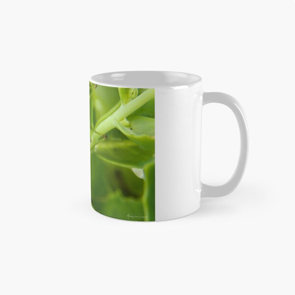 Item preview, The Entire System designed and sold by Yardley Pearson Photography.