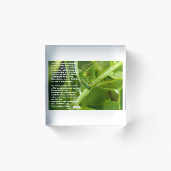 Artikelvorschau, The Entire System entworfen und verkauft von Yardley Pearson Photography.
