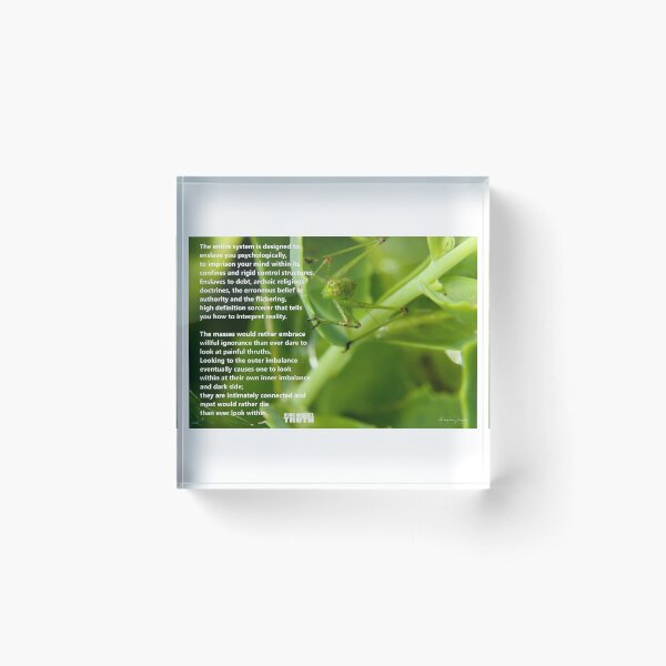 Item preview, The Entire System designed and sold by Yardley Pearson Photography.