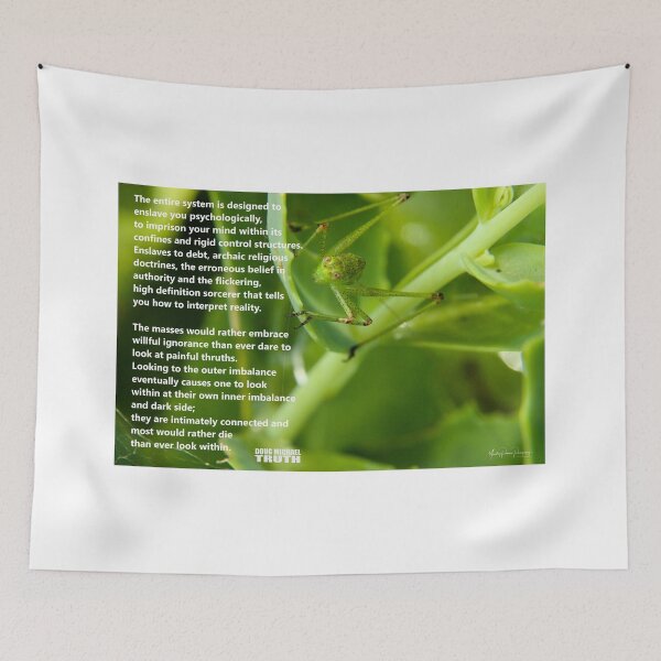 Item preview, The Entire System designed and sold by Yardley Pearson Photography.
