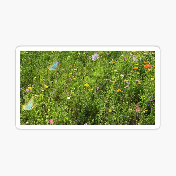 5 colorful angel butterflies over yellow dandelions and wild flowers in sunlight grass Sticker