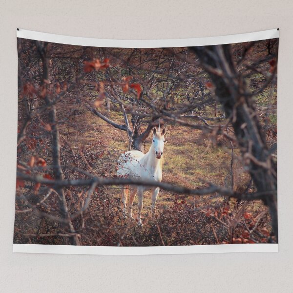 Item preview, Almost unreal: looking for unicorns designed and sold by Sara Sanchez PHOTO.