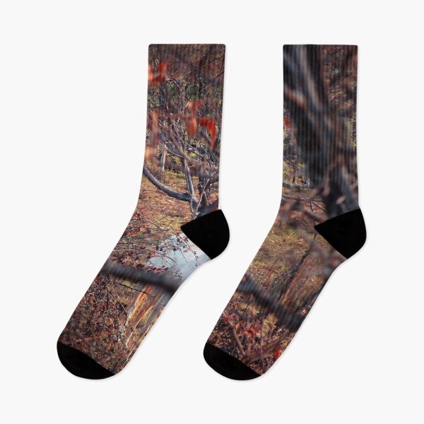 Item preview, Almost unreal: looking for unicorns designed and sold by Sara Sanchez PHOTO.
