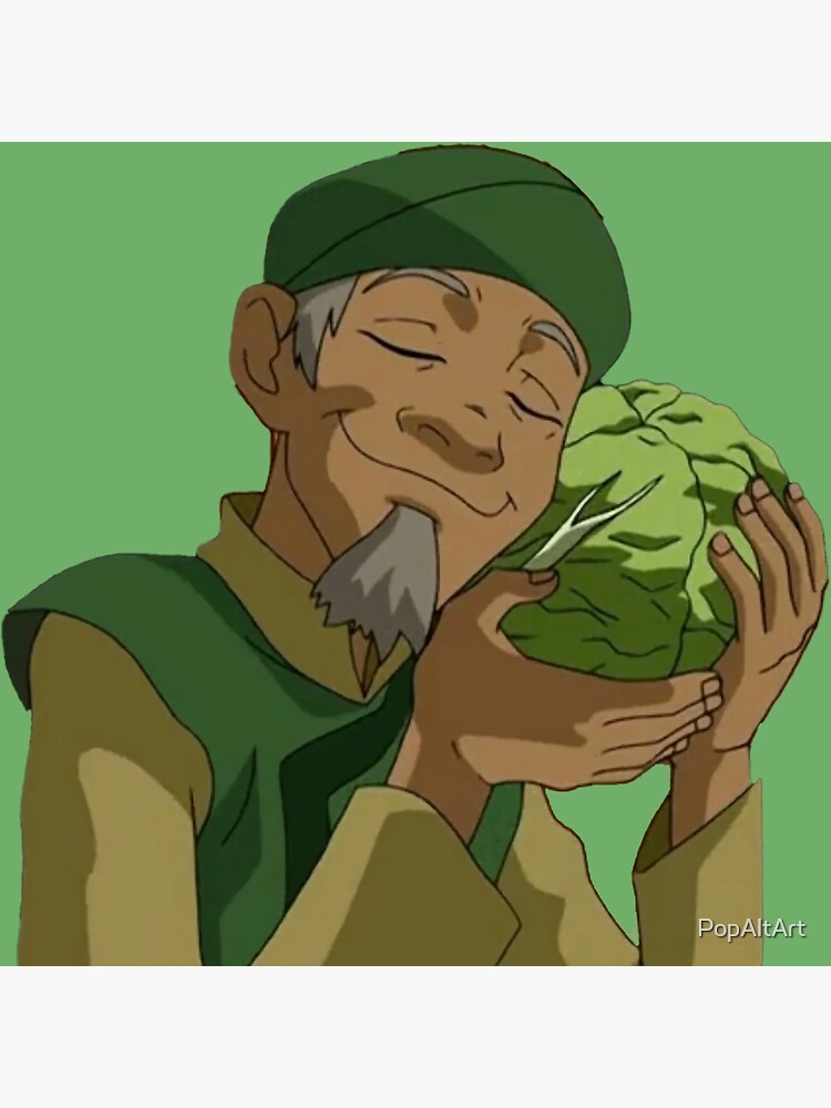 "Cabbage Guy Avatar The Last Airbender" Poster for Sale by PopAltArt